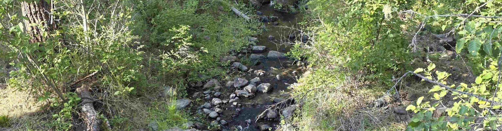 Hwy 410, Naches, Washington 98937, 0 , 0 ,1 BathroomBathrooms,Houses,For Sale,Hwy 410,0,286245