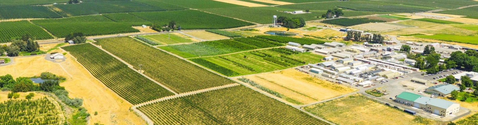 NKA McCreadie, Prosser, Washington 99350, 0 , 0 ,0,Agricultural Land,For Sale,NKA McCreadie,0,286281