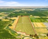 NKA McCreadie, Prosser, Washington 99350, 0 , 0 ,0,Agricultural Land,For Sale,NKA McCreadie,0,286281