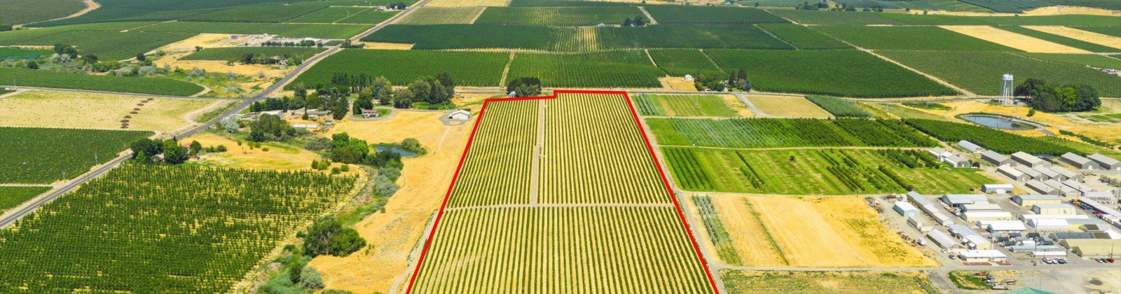 NKA McCreadie, Prosser, Washington 99350, 0 , 0 ,0,Agricultural Land,For Sale,NKA McCreadie,0,286281