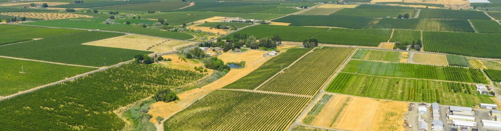 NKA McCreadie, Prosser, Washington 99350, 0 , 0 ,0,Agricultural Land,For Sale,NKA McCreadie,0,286281