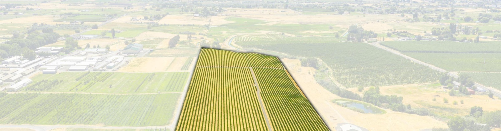 NKA McCreadie, Prosser, Washington 99350, 0 , 0 ,0,Agricultural Land,For Sale,NKA McCreadie,0,286281