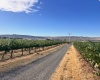 NKA McCreadie, Prosser, Washington 99350, 0 , 0 ,0,Agricultural Land,For Sale,NKA McCreadie,0,286281