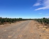 NKA McCreadie, Prosser, Washington 99350, 0 , 0 ,0,Agricultural Land,For Sale,NKA McCreadie,0,286281