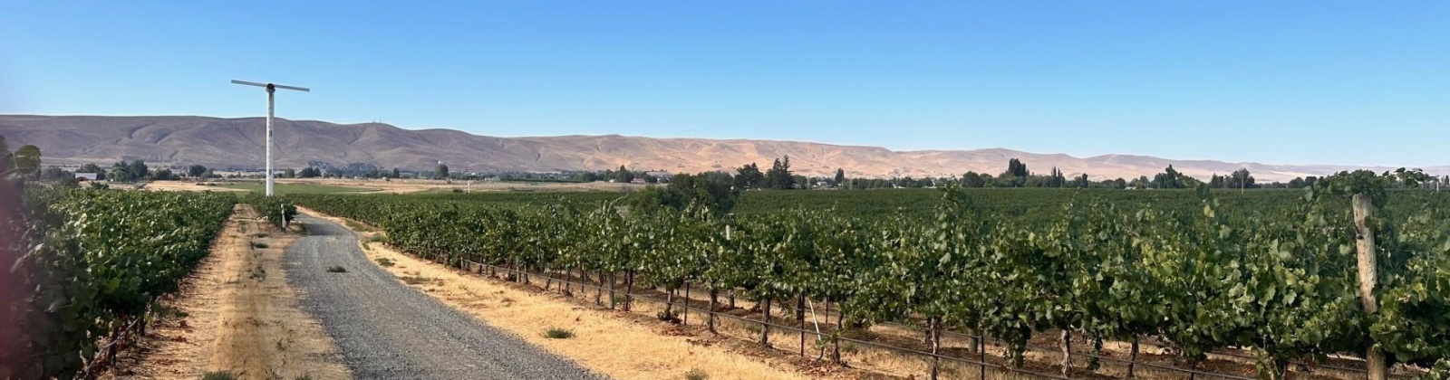 NKA McCreadie, Prosser, Washington 99350, 0 , 0 ,0,Agricultural Land,For Sale,NKA McCreadie,0,286281