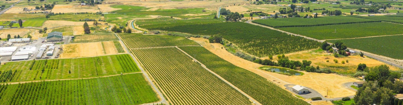 NKA McCreadie, Prosser, Washington 99350, 0 , 0 ,0,Agricultural Land,For Sale,NKA McCreadie,0,286281