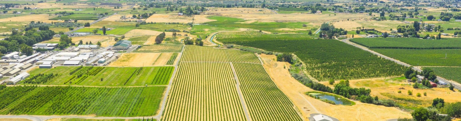 NKA McCreadie, Prosser, Washington 99350, 0 , 0 ,0,Agricultural Land,For Sale,NKA McCreadie,0,286281