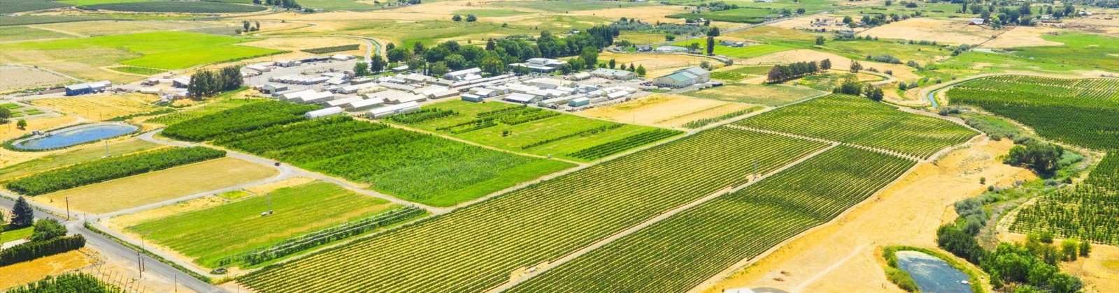 NKA McCreadie, Prosser, Washington 99350, 0 , 0 ,0,Agricultural Land,For Sale,NKA McCreadie,0,286281