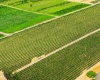 NKA McCreadie, Prosser, Washington 99350, 0 , 0 ,0,Agricultural Land,For Sale,NKA McCreadie,0,286281