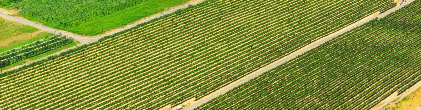 NKA McCreadie, Prosser, Washington 99350, 0 , 0 ,0,Agricultural Land,For Sale,NKA McCreadie,0,286281