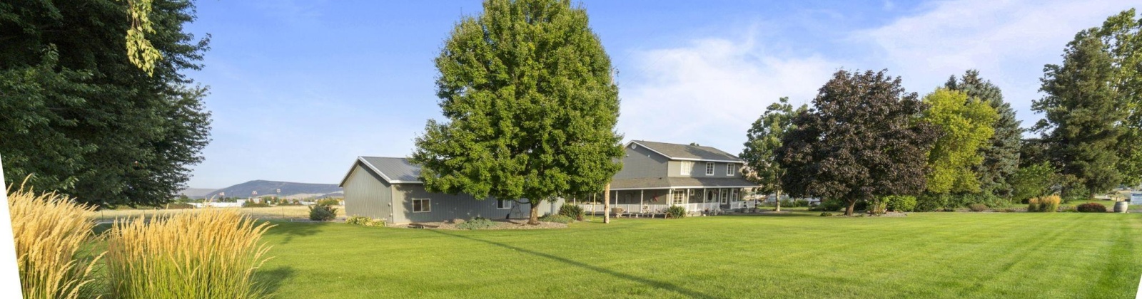 Albro Road, Prosser, Washington 99350, 3 Bedrooms Bedrooms, 0 ,3 BathroomsBathrooms,Houses,For Sale,Albro Road,0,286302