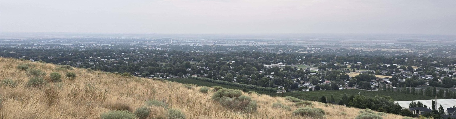 S. Olympia Street (90.33 acres), Kennewick, Washington 99337, 0 , 0 ,0,Land/lots,For Sale,S. Olympia Street (90.33 acres),0,286389