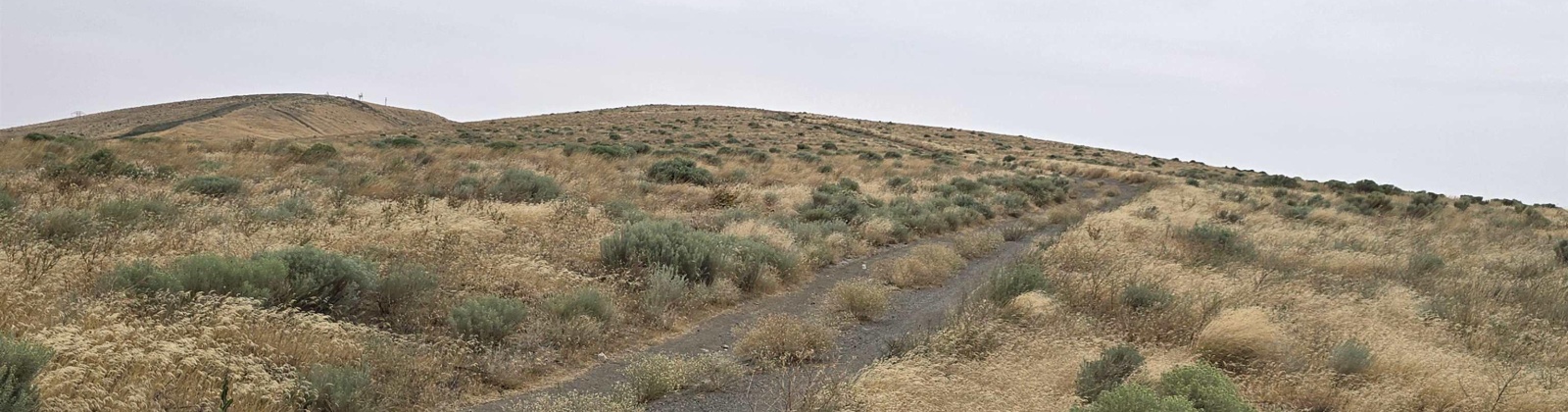 S. Olympia Street (90.33 acres), Kennewick, Washington 99337, 0 , 0 ,0,Land/lots,For Sale,S. Olympia Street (90.33 acres),0,286389