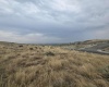 S. Olympia Street (90.33 acres), Kennewick, Washington 99337, 0 , 0 ,0,Land/lots,For Sale,S. Olympia Street (90.33 acres),0,286389