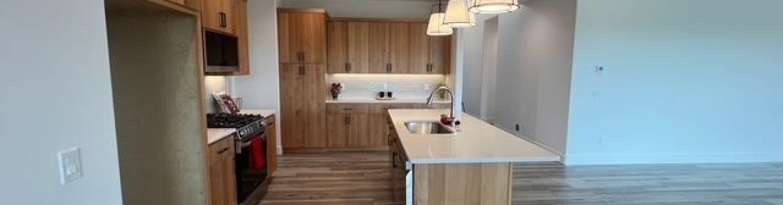 Panorama Dr., Pullman, Washington 99163, 4 Bedrooms Bedrooms, 0 ,2 BathroomsBathrooms,Houses,For Sale,Panorama Dr.,0,286403