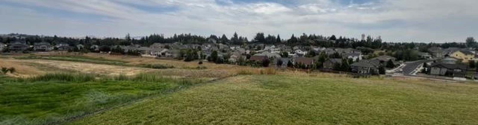 Panorama Dr., Pullman, Washington 99163, 4 Bedrooms Bedrooms, 0 ,2 BathroomsBathrooms,Houses,For Sale,Panorama Dr.,0,286403