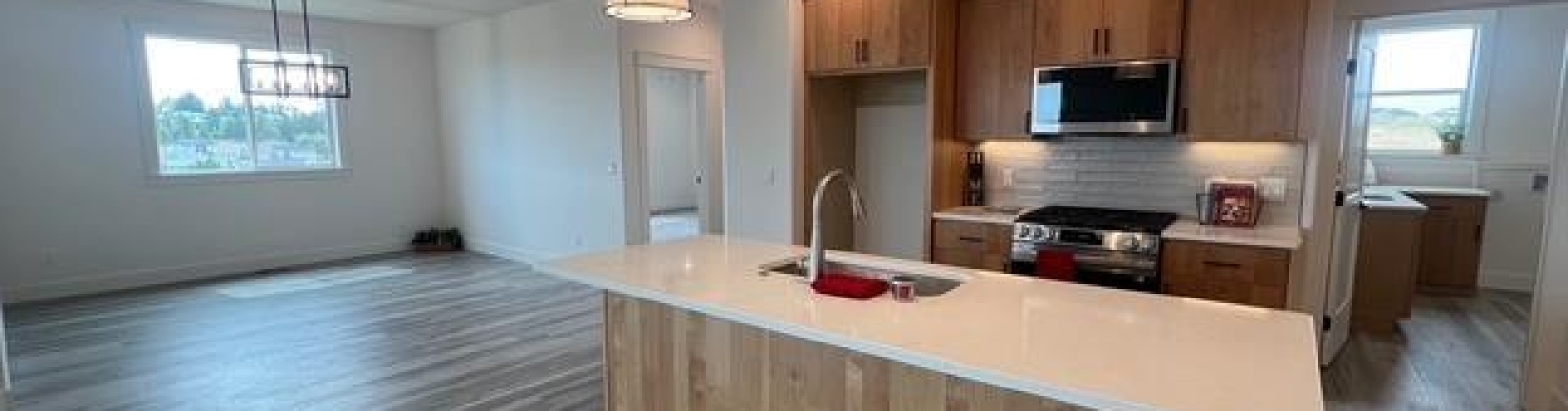 Panorama Dr., Pullman, Washington 99163, 4 Bedrooms Bedrooms, 0 ,2 BathroomsBathrooms,Houses,For Sale,Panorama Dr.,0,286403