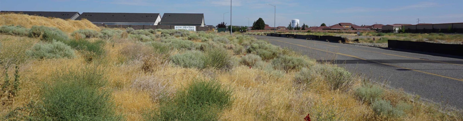 NKA Midland Lane, Pasco, Washington 99301, 0 , 0 ,0,Commercial,For Sale,NKA Midland Lane,0,286412