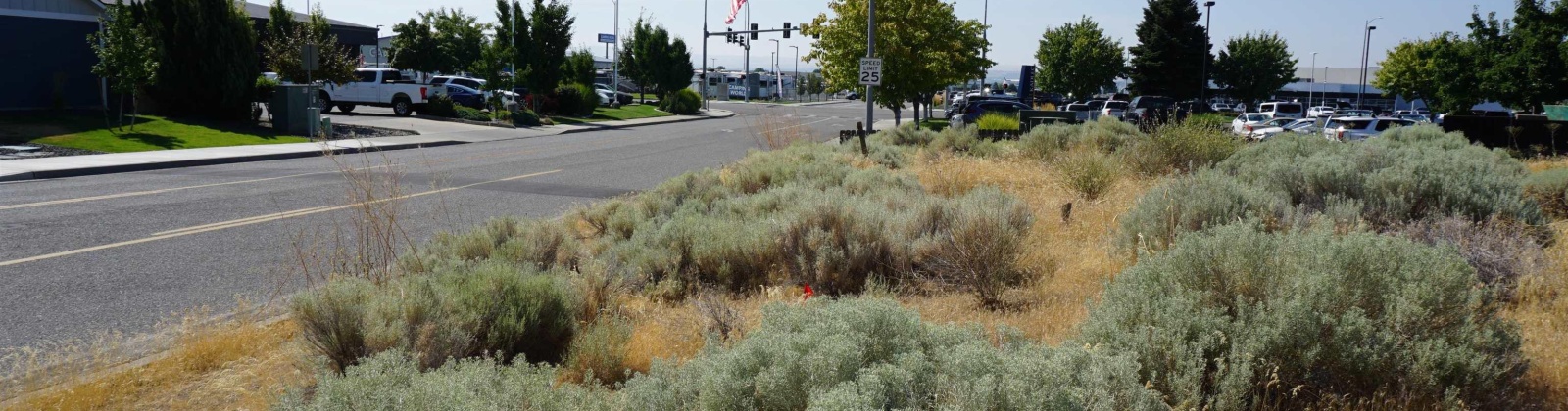 NKA Midland Lane, Pasco, Washington 99301, 0 , 0 ,0,Commercial,For Sale,NKA Midland Lane,0,286412