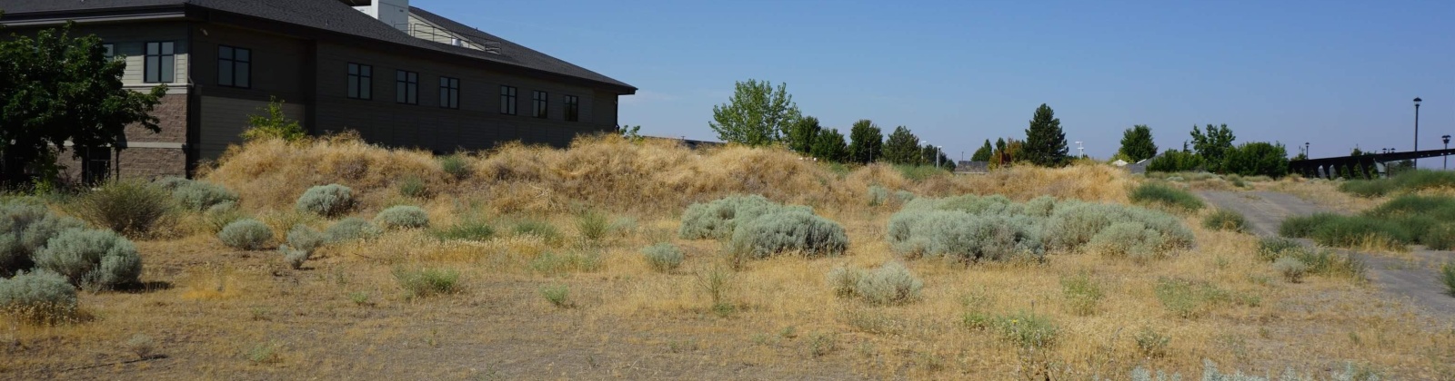 NKA Midland Lane, Pasco, Washington 99301, 0 , 0 ,0,Commercial,For Sale,NKA Midland Lane,0,286412