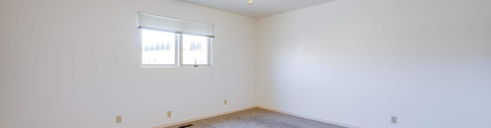 State Route 270, Pullman, Washington 99163, 4 Bedrooms Bedrooms, 0 ,3 BathroomsBathrooms,Houses,For Sale,State Route 270,0,286408