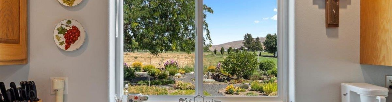 North River Rd, Prosser, Washington 99350-8802, 3 Bedrooms Bedrooms, 0 ,3 BathroomsBathrooms,Houses,For Sale,North River Rd,0,286471