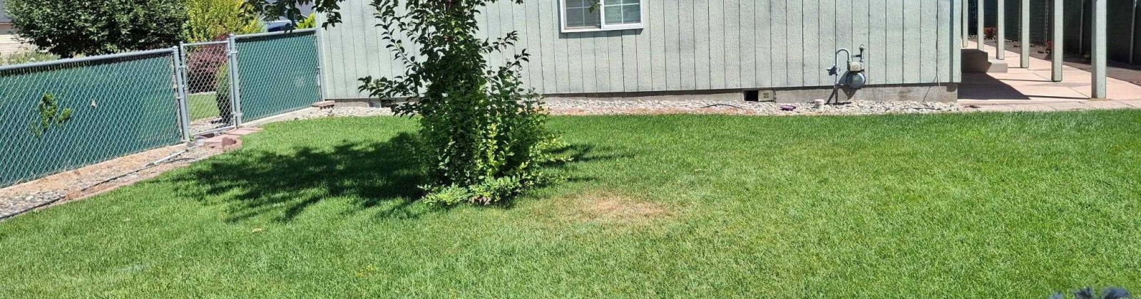 Laura Ave, Sunnyside, Washington 98944, 3 Bedrooms Bedrooms, 0 ,2 BathroomsBathrooms,Houses,For Sale,Laura Ave,0,286491