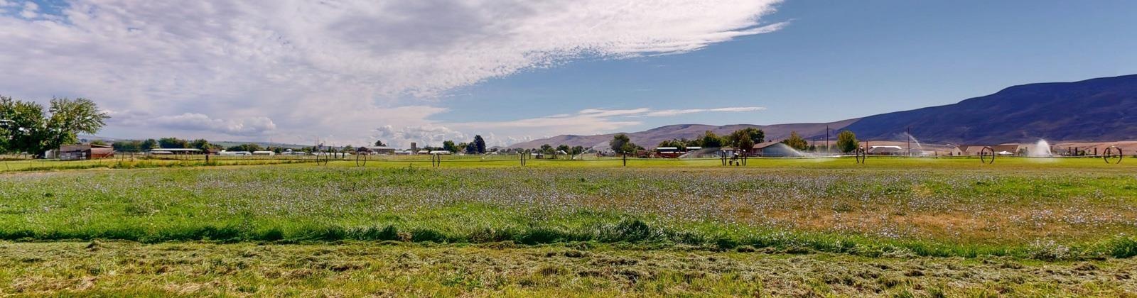 Old Inland Empire, Prosser, Washington 99350, 4 Bedrooms Bedrooms, 0 ,2 BathroomsBathrooms,Houses,For Sale,Old Inland Empire,0,286500