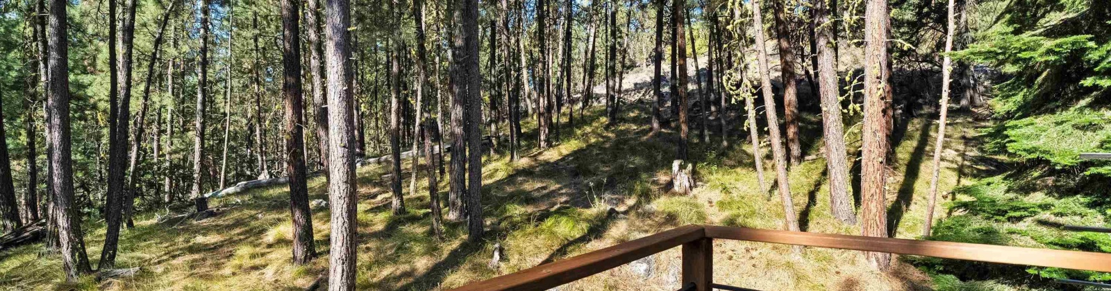 North Fork Rd, Yakima, Washington 98908, 2 Bedrooms Bedrooms, 0 ,1 BathroomBathrooms,Houses,For Sale,North Fork Rd,0,286509