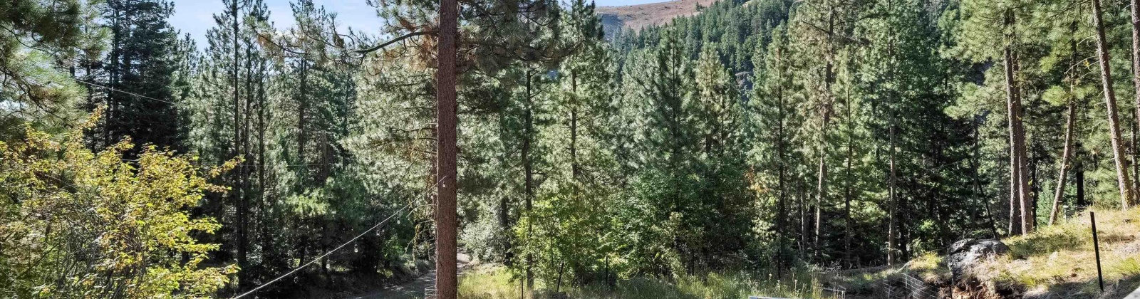 North Fork Rd, Yakima, Washington 98908, 2 Bedrooms Bedrooms, 0 ,1 BathroomBathrooms,Houses,For Sale,North Fork Rd,0,286509