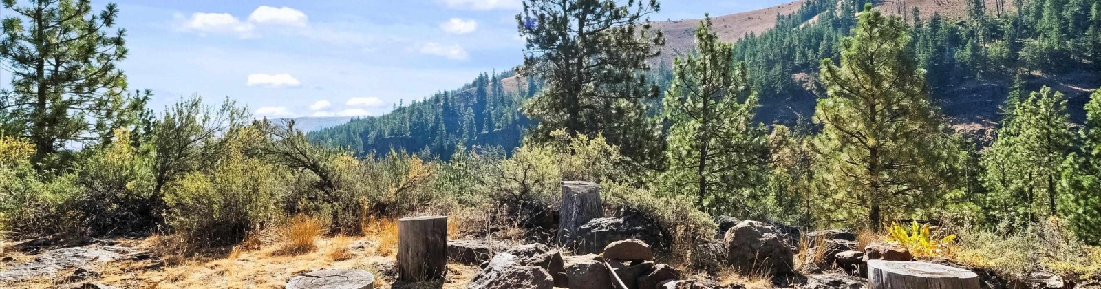 North Fork Rd, Yakima, Washington 98908, 2 Bedrooms Bedrooms, 0 ,1 BathroomBathrooms,Houses,For Sale,North Fork Rd,0,286509