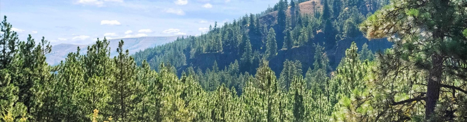 North Fork Rd, Yakima, Washington 98908, 2 Bedrooms Bedrooms, 0 ,1 BathroomBathrooms,Houses,For Sale,North Fork Rd,0,286509