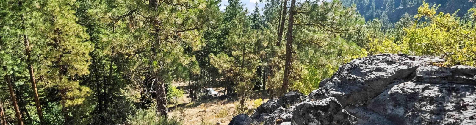 North Fork Rd, Yakima, Washington 98908, 2 Bedrooms Bedrooms, 0 ,1 BathroomBathrooms,Houses,For Sale,North Fork Rd,0,286509