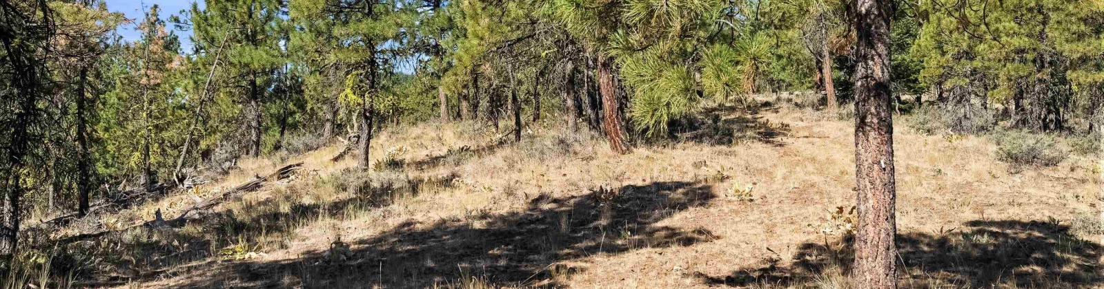 North Fork Rd, Yakima, Washington 98908, 2 Bedrooms Bedrooms, 0 ,1 BathroomBathrooms,Houses,For Sale,North Fork Rd,0,286509