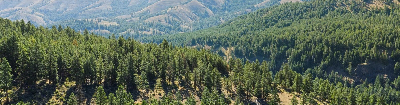 North Fork Rd, Yakima, Washington 98908, 2 Bedrooms Bedrooms, 0 ,1 BathroomBathrooms,Houses,For Sale,North Fork Rd,0,286509