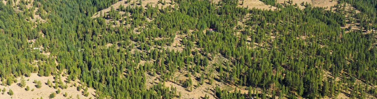 North Fork Rd, Yakima, Washington 98908, 2 Bedrooms Bedrooms, 0 ,1 BathroomBathrooms,Houses,For Sale,North Fork Rd,0,286509