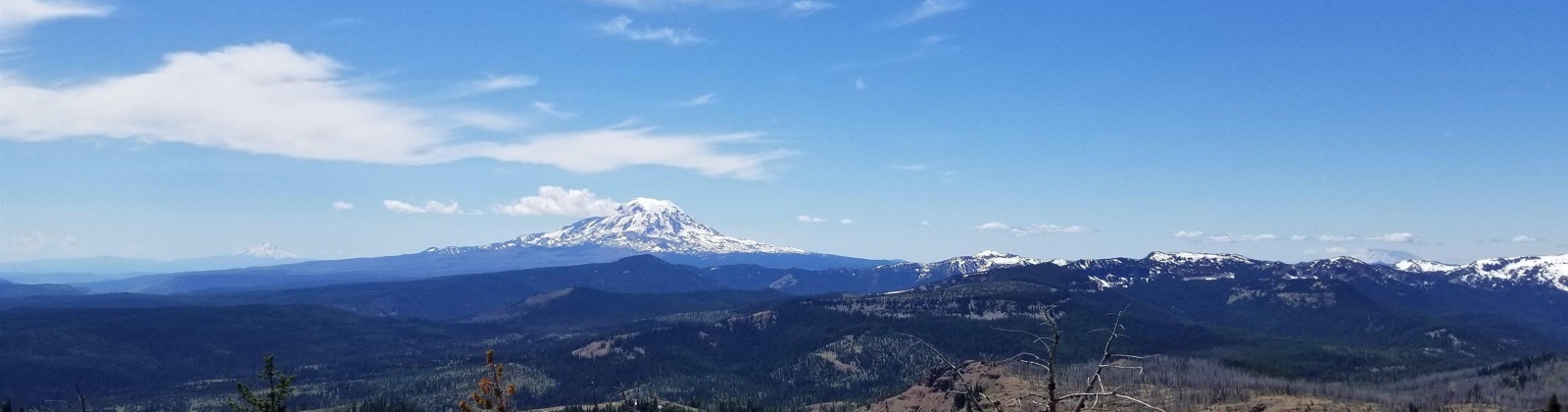 North Fork Rd, Yakima, Washington 98908, 2 Bedrooms Bedrooms, 0 ,1 BathroomBathrooms,Houses,For Sale,North Fork Rd,0,286509