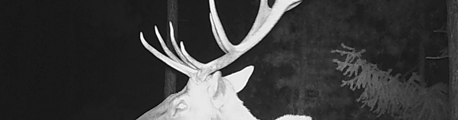 North Fork Rd, Yakima, Washington 98908, 2 Bedrooms Bedrooms, 0 ,1 BathroomBathrooms,Houses,For Sale,North Fork Rd,0,286509