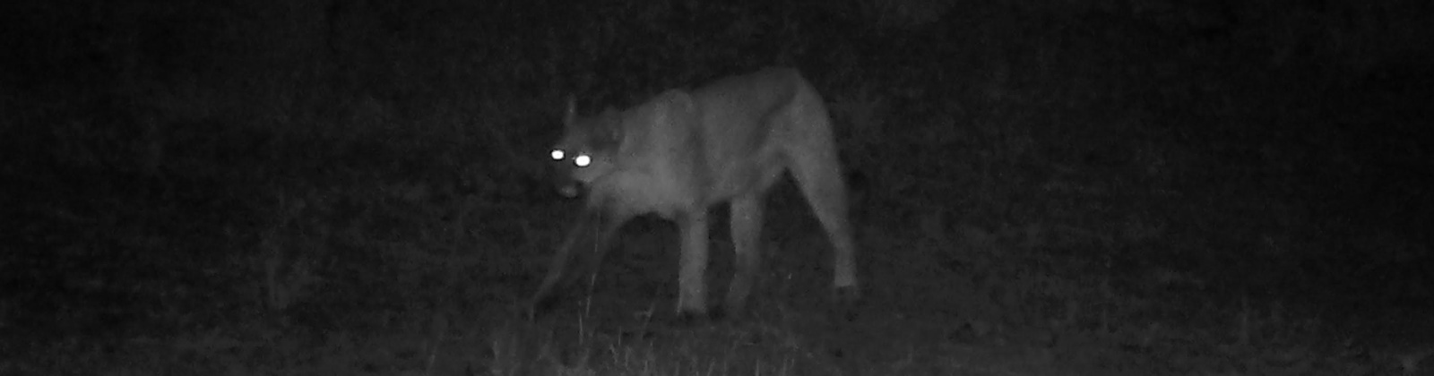 North Fork Rd, Yakima, Washington 98908, 2 Bedrooms Bedrooms, 0 ,1 BathroomBathrooms,Houses,For Sale,North Fork Rd,0,286509