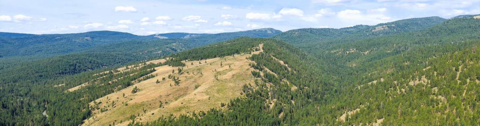 North Fork Rd, Yakima, Washington 98908, 2 Bedrooms Bedrooms, 0 ,1 BathroomBathrooms,Houses,For Sale,North Fork Rd,0,286509