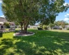 Buchanan, Kennewick, Washington 99338, 4 Bedrooms Bedrooms, 0 ,3 BathroomsBathrooms,Houses,For Sale,Buchanan,0,286548