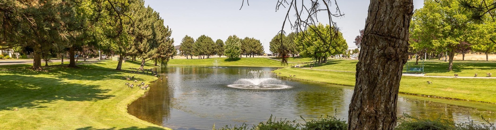 Eaglewatch Loop, Richland, Washington 99354, 3 Bedrooms Bedrooms, 0 ,2 BathroomsBathrooms,Houses,For Sale,Eaglewatch Loop,0,286579