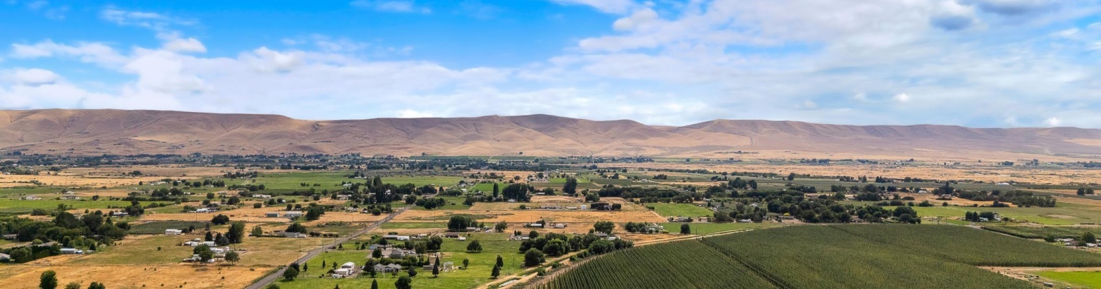 Apricot Rd, Grandview, Washington, 0 , 0 ,0,Agricultural Land,For Sale,Apricot Rd,0,286591