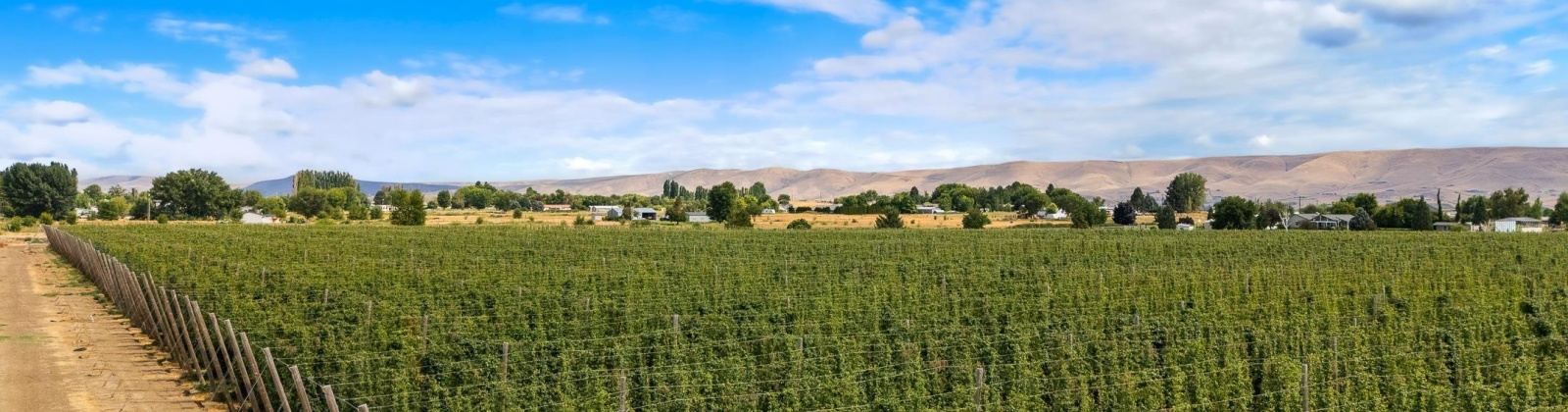 Apricot Rd, Grandview, Washington, 0 , 0 ,0,Agricultural Land,For Sale,Apricot Rd,0,286591