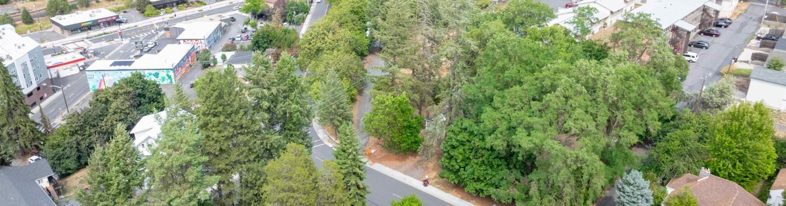 Spring St, Pullman, Washington 99163, 2 Bedrooms Bedrooms, 0 ,2 BathroomsBathrooms,Houses,For Sale,Spring St,0,286650