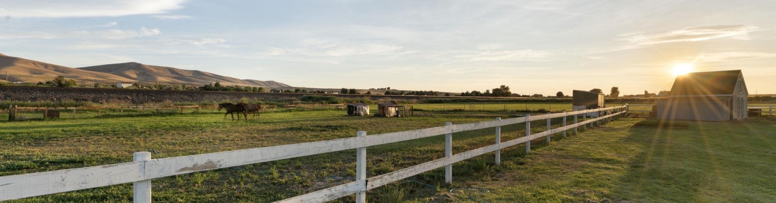 Quail Run PR. SW, Prosser, Washington 99350, 3 Bedrooms Bedrooms, 0 ,2 BathroomsBathrooms,Houses,For Sale,Quail Run PR. SW,0,286647