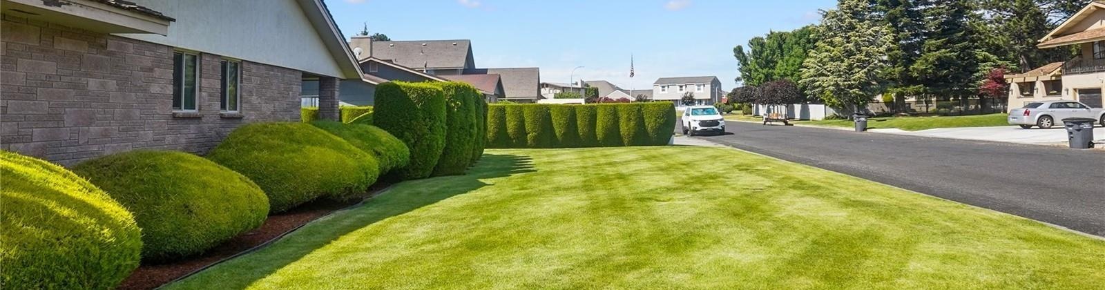 Catalpa St, Othello, Washington 99344, 3 Bedrooms Bedrooms, 0 ,3 BathroomsBathrooms,Houses,For Sale,Catalpa St,0,286670