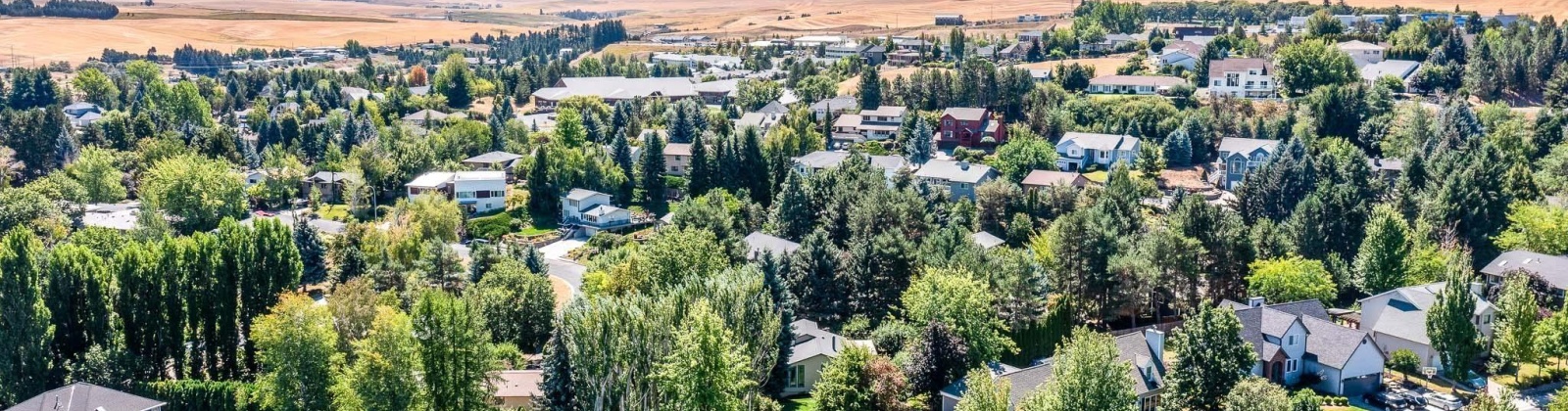 Meadow Vale, Pullman, Washington 99163, 5 Bedrooms Bedrooms, 0 ,3 BathroomsBathrooms,Houses,For Sale,Meadow Vale,0,286656
