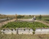 129 PR NE, Benton City, Washington 99320, 3 Bedrooms Bedrooms, 0 ,2 BathroomsBathrooms,Houses,For Sale,129 PR NE,0,286684