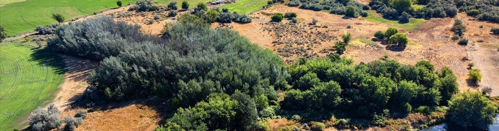 Jones Rd, Richland, Washington 99354, 0 , 0 ,0,Land/lots,For Sale,Jones Rd,0,286695